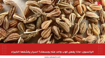 اليانسون: ماذا يفعل كوب واحد منه بجسمك؟ أسرار يكشفها الخبراء